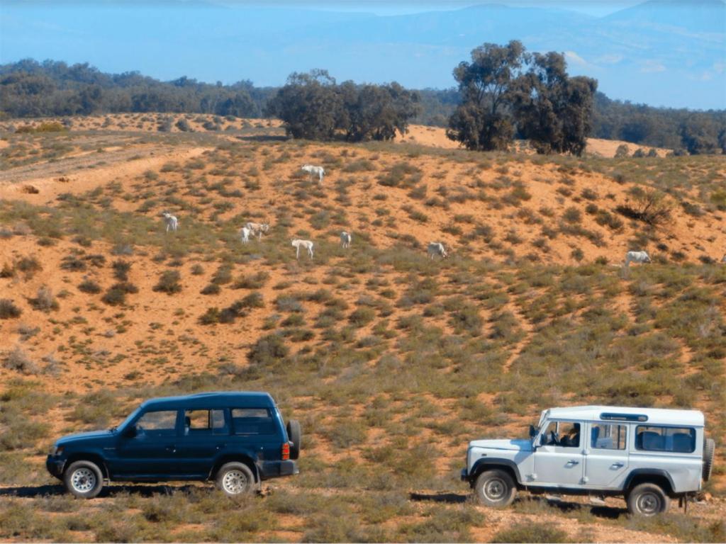 Camping Wassay Beach Sidi Ouassay Экстерьер фото